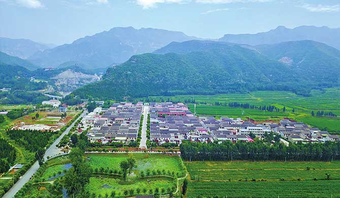 济源农村环境绿意渐浓，森林乡村建设新增各类苗木15万余株