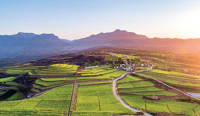 济源“城乡花正开”，“花产业” 乡村振兴新引擎！